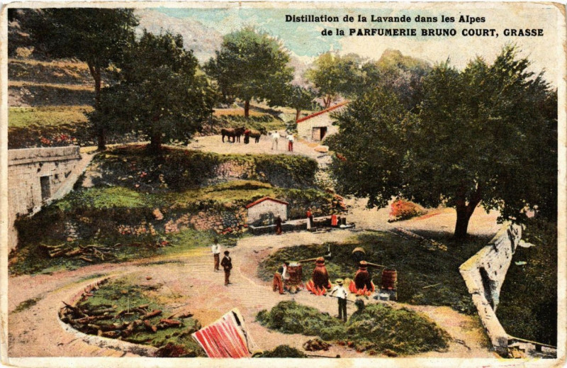 Carte postale ancienne Parfumerie Bruno COURT, Grasse Distillation de la Lavandre à Grasse
