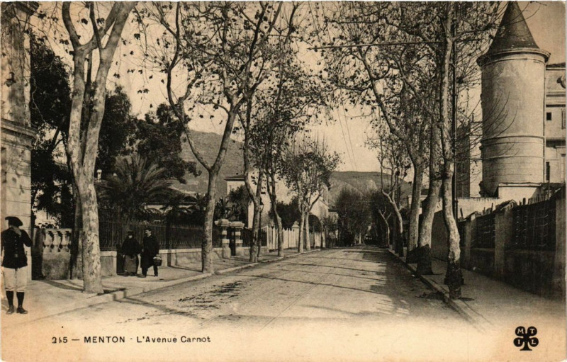 Carte postale ancienne Menton L'Avenue Carnot à Menton