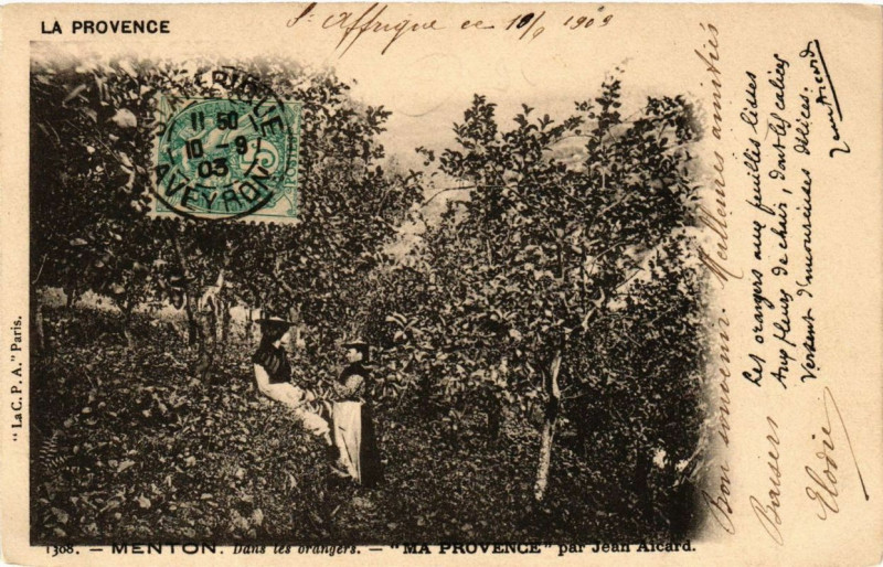 Carte postale ancienne La ProVENCE Menton Dans les orangers. Ma ProVENCE par Jean Aicard à Menton