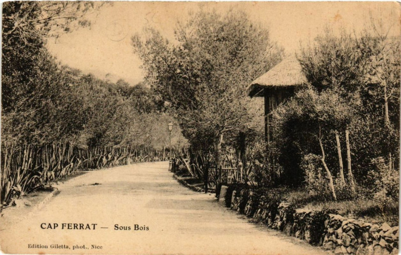 Carte postale ancienne Cap Ferrat Sous Bois
