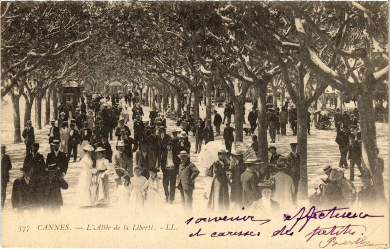 Carte postale ancienne Cannes L'Allee de la Liberte à Cannes
