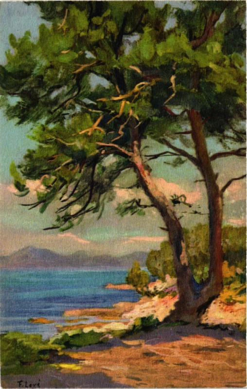 Carte postale ancienne Pins sur l'Ile Ste. Marguerite `