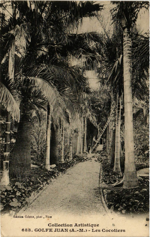 Carte postale ancienne Golfe-Juan Les Cocotiers