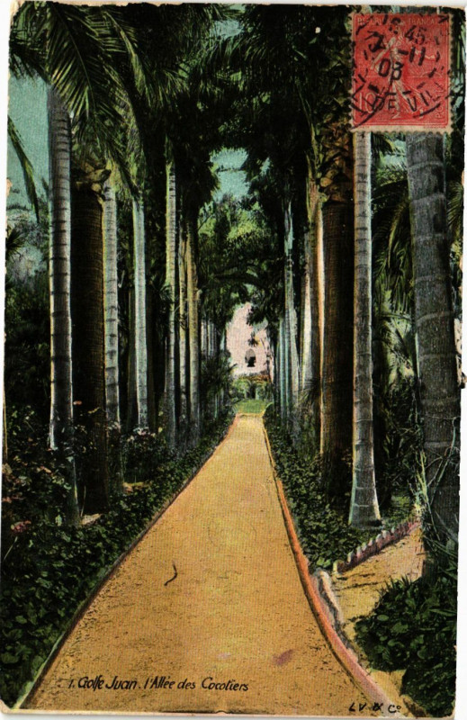 Carte postale ancienne Golfe-Juan l'Allee des Cocotiers