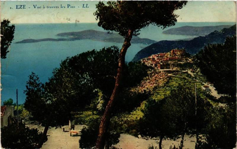 Carte postale ancienne Eze Vue a travers les Pins à Èze