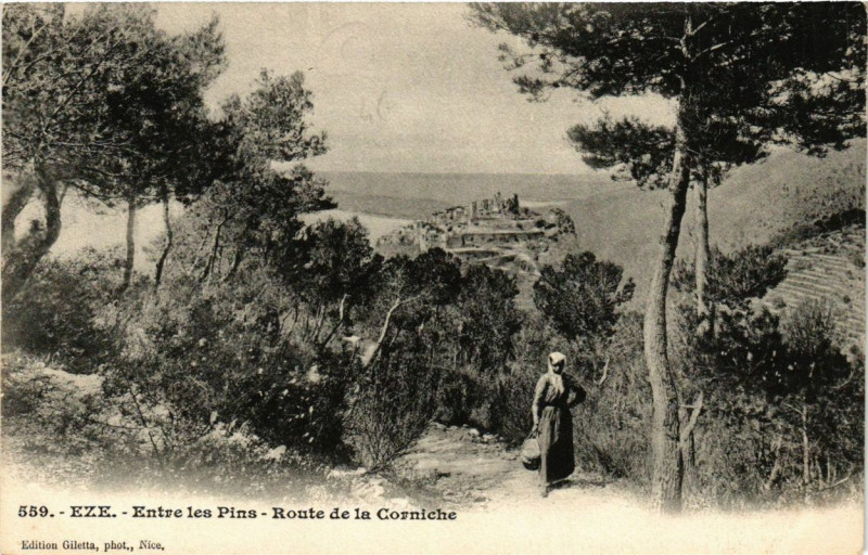 Carte postale ancienne Eze Entre les pins - Route de la Corniche à Èze