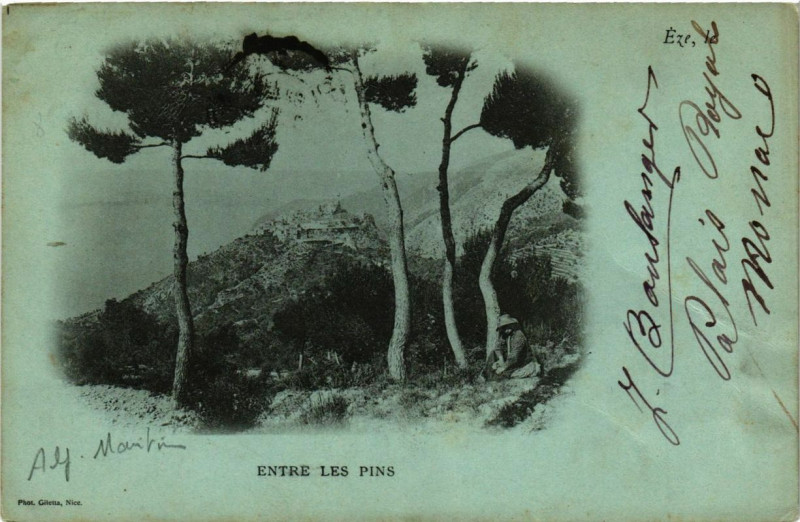 Carte postale ancienne Eze Entre les pins à Èze