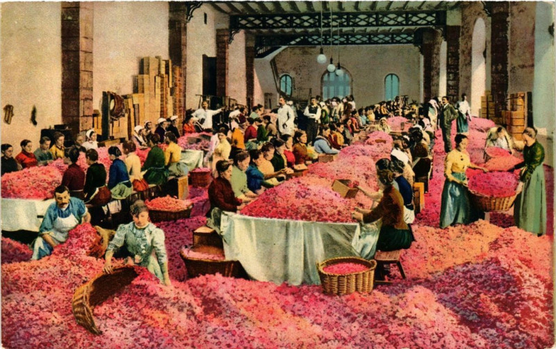 Carte postale ancienne Cote d'Azur Ruae des roses