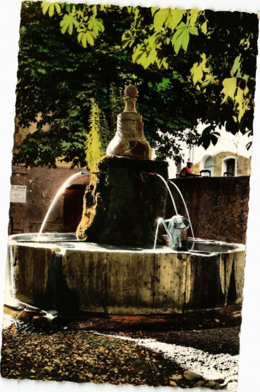 Carte postale ancienne Saint-Martin de Bromes - La Fontaine