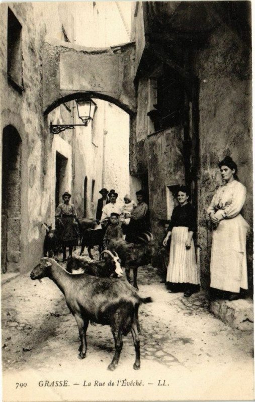 Carte postale ancienne Grasse - La Rue de l'Evéché à Grasse
