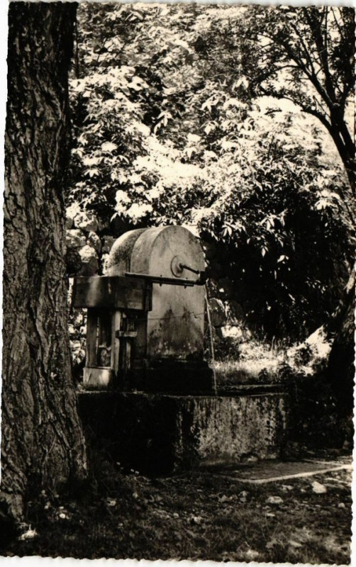 Carte postale ancienne Nice à Nice