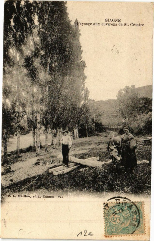 Carte postale ancienne Siagne-Paysage aux environs de Saint-Césaire