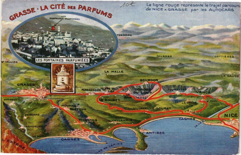 Carte postale ancienne Grasse -La Cité des Parfums à Grasse