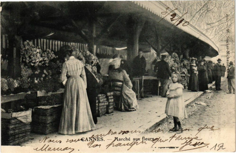 Carte postale ancienne Cannes Marché aux Fleurs à Cannes
