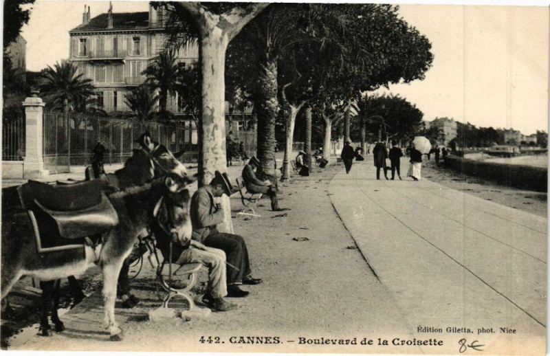 Carte postale ancienne Cannes Boulevard de la Croisette à Cannes