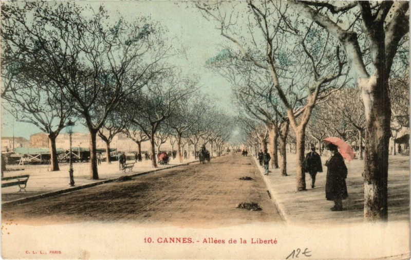 Carte postale ancienne Cannes Allées de la Liberté à Cannes