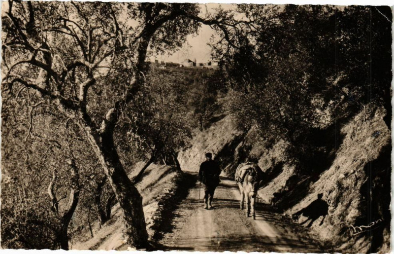 Carte postale ancienne Utelle - Route grimpan à Utelle
