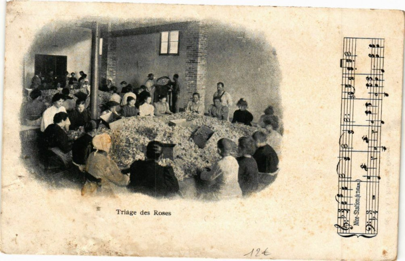 Carte postale ancienne Triage des Roses