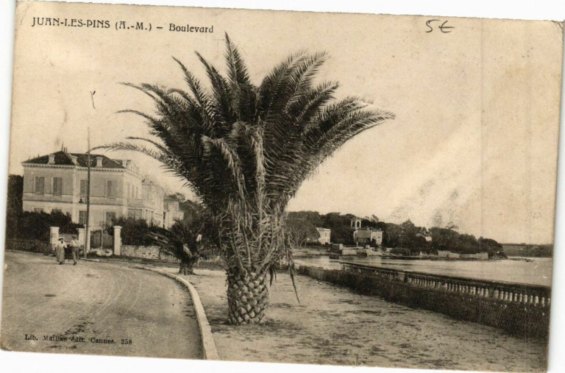Carte postale ancienne Juan-les-Pins - Boulevard