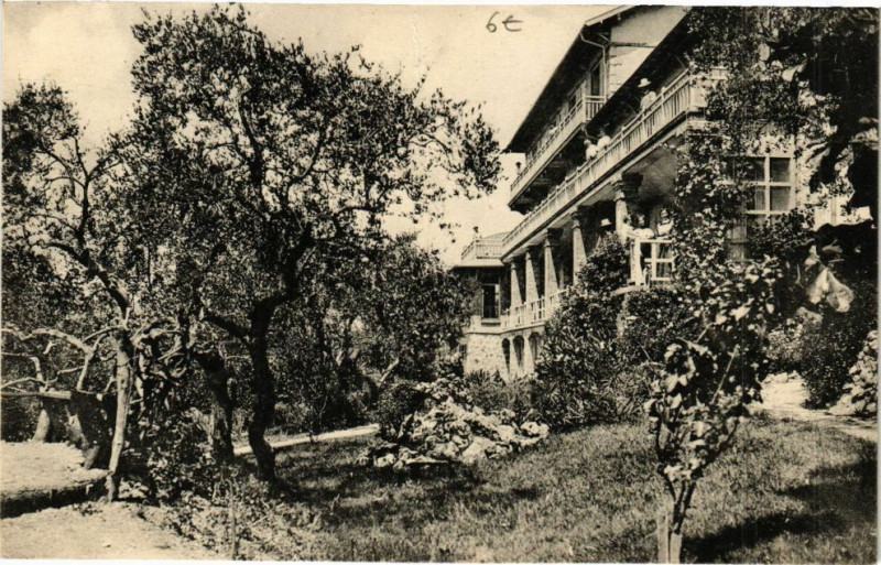 Carte postale ancienne Grasse -Les Oliviers - Pension de Famille à Grasse