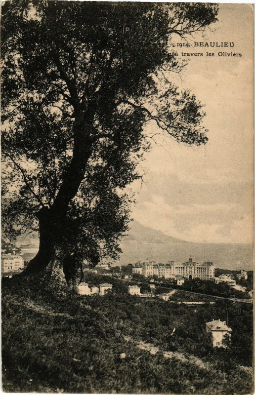 Carte postale ancienne Beaulieu - Travers les oliviers