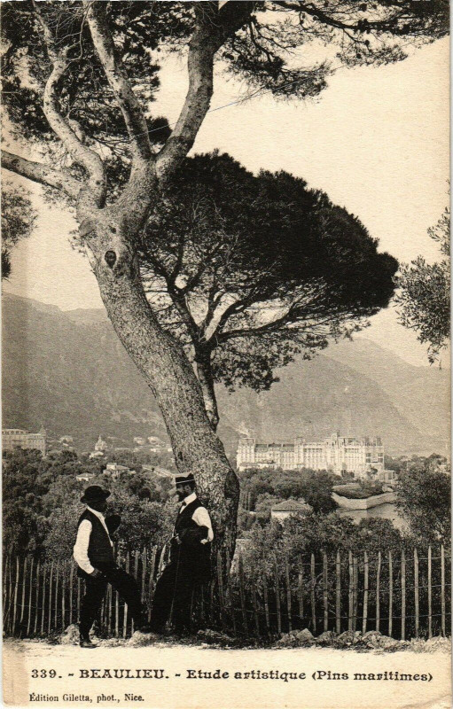 Carte postale ancienne Beaulieu - Etude artistique (Pins maritimes )