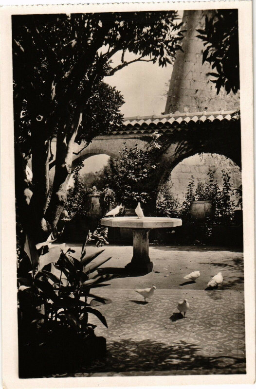 Carte postale ancienne Auberge De La Colombe D'Or - Saint-Paul