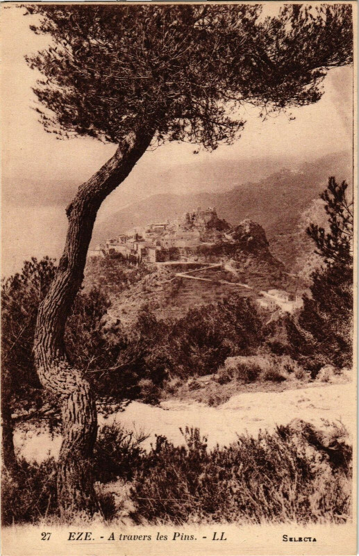 Carte postale ancienne Eze. - A travers les pins