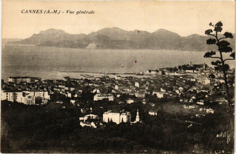Carte postale ancienne Cannes - Vue générale à Cannes