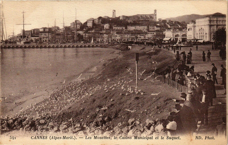 Carte postale ancienne Cannes (Alpes-Marit.) - Les Mouttes, le Casino Municipal et le... à Cannes
