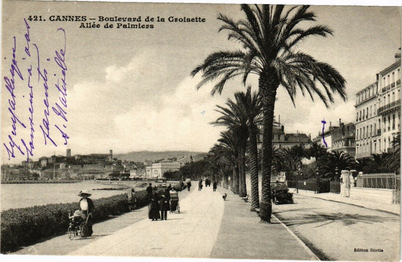 Carte postale ancienne Cannes - Boulevar de la Croisette Allée de Palmiers à Cannes