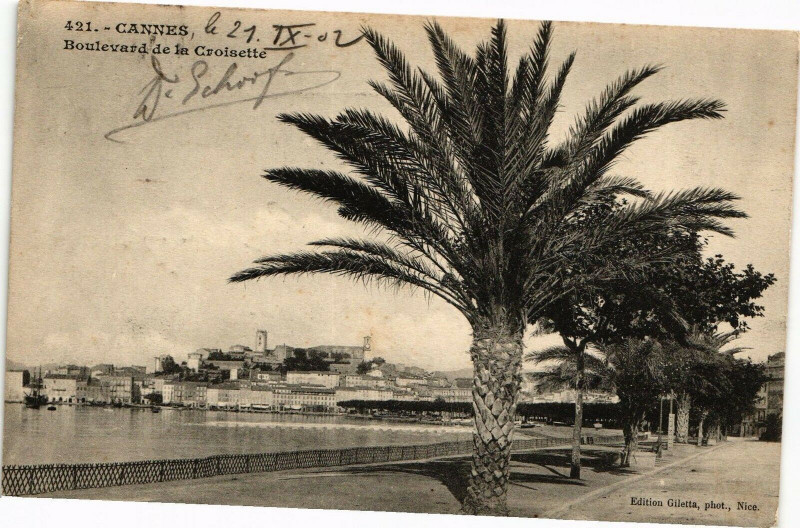 Carte postale ancienne Cannes - Boulevard de la Croisette à Cannes
