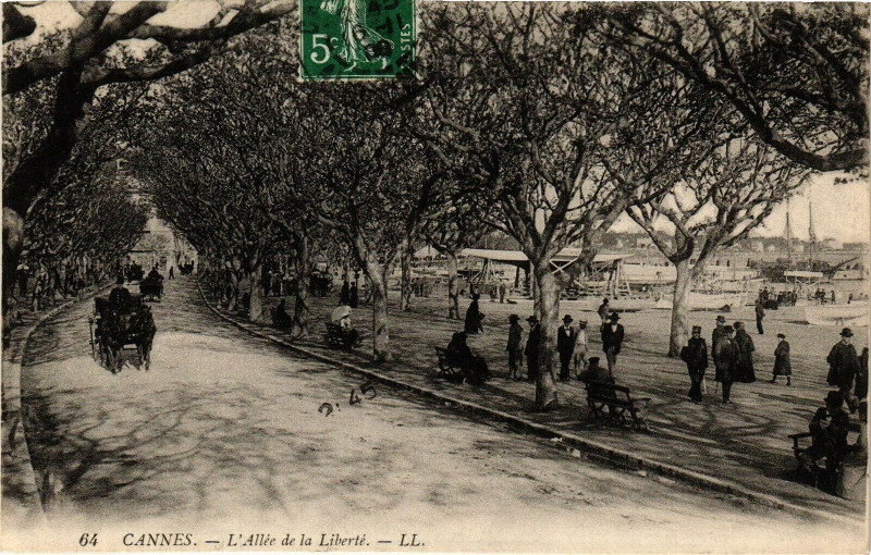 Carte postale ancienne Cannes - L'Allée de la Liberté à Cannes
