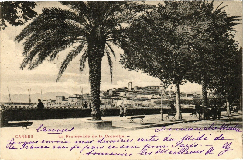 Carte postale ancienne Cannes - La Promenade de la Croisette à Cannes