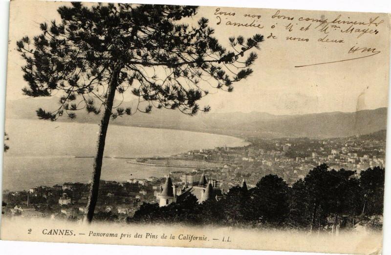 Carte postale ancienne Cannes - Panorama pris des Pins de la Californie à Cannes