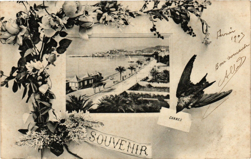 Carte postale ancienne Cannes - Souvenir à Cannes