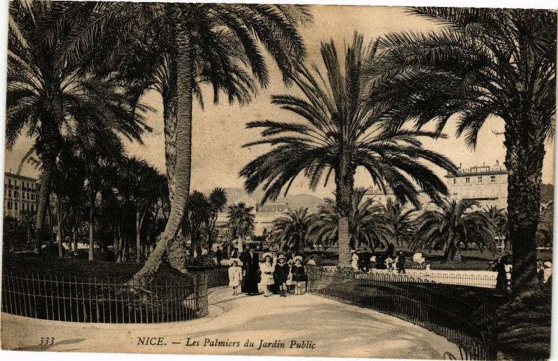 Carte postale ancienne Nice - Les Palmiers du Jardin Public à Nice