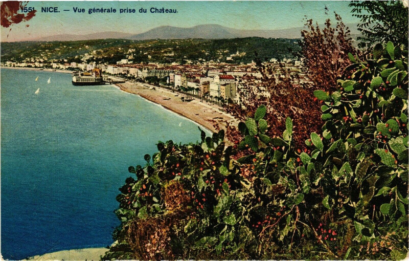 Carte postale ancienne Nice - Vue générale prise du Chateau à Nice