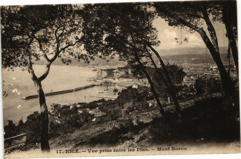 Carte postale ancienne Nice - Vue prise entre les Pins - Mont Boron à Nice