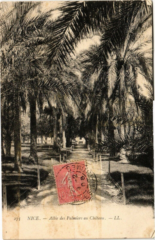 Carte postale ancienne Nice - Allée des Palmires au Chateau à Nice