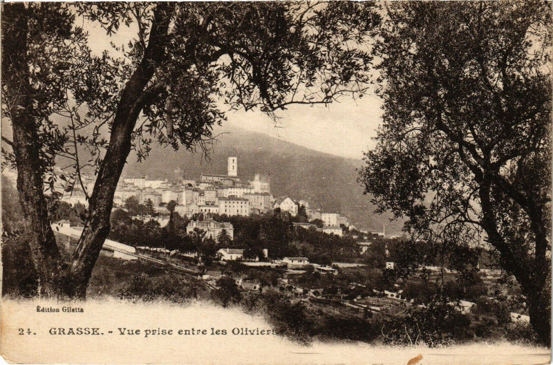 Carte postale ancienne Grasse - Vue prise entre les olivier à Grasse