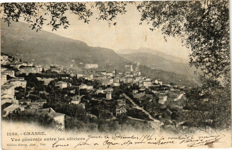 Carte postale ancienne Grasse - Vue générale entre les oliviers à Grasse