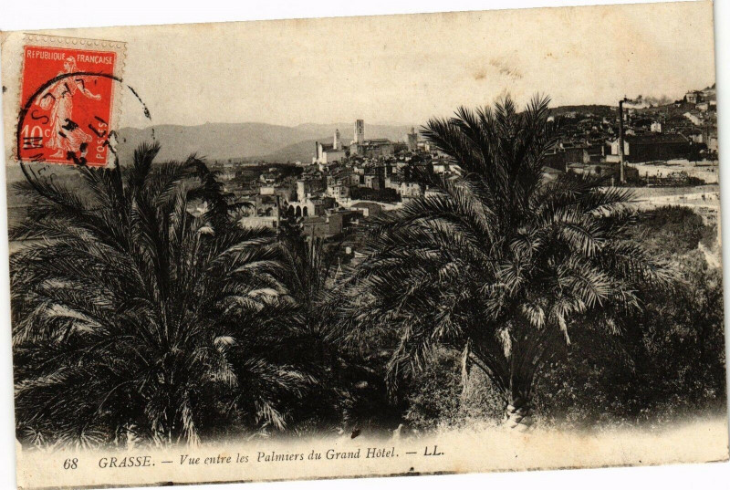 Carte postale ancienne Grasse - Vue entre les palmiers du grand hotel à Grasse