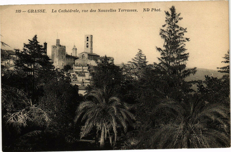 Carte postale ancienne Grasse - La cathedrale à Grasse