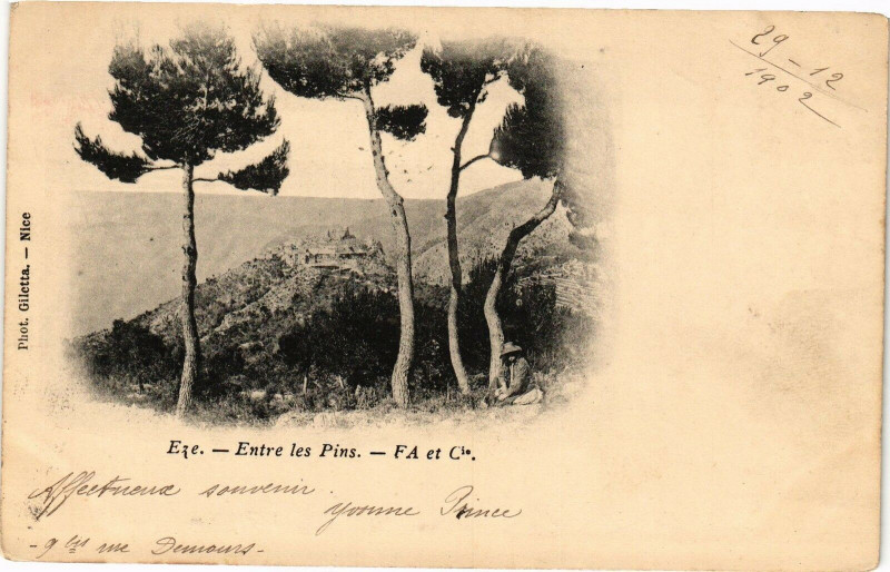 Carte postale ancienne Eze - Entre les pins à Èze