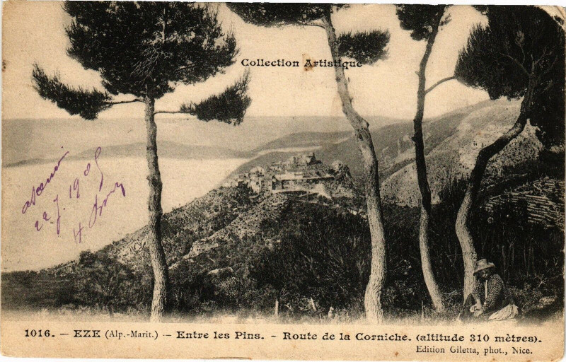 Carte postale ancienne Eze - Entre les pins à Èze
