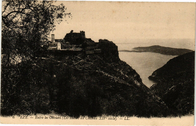 Carte postale ancienne Eze - Entre les oliviers à Èze