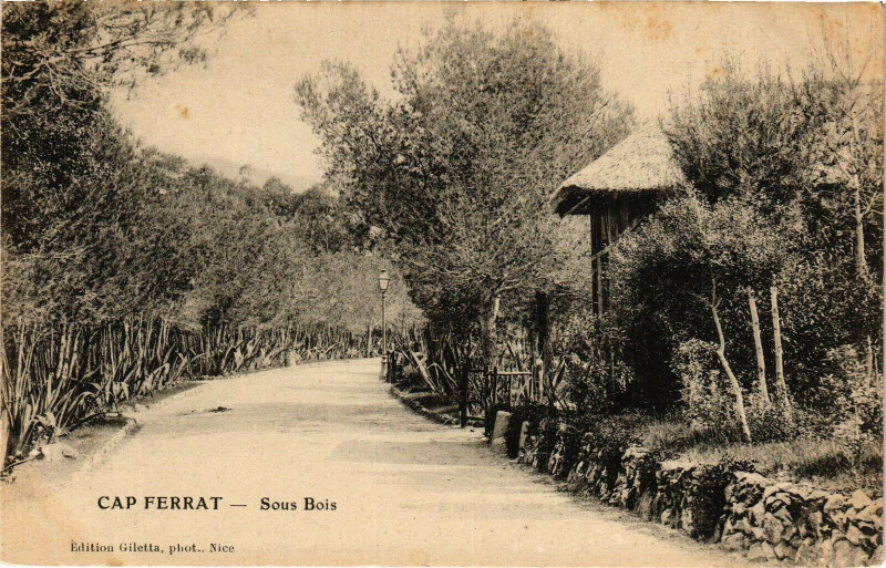 Carte postale ancienne Cap Ferrat - Sous bois