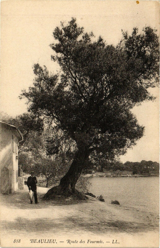 Carte postale ancienne Beaulieu - Routes des fourims