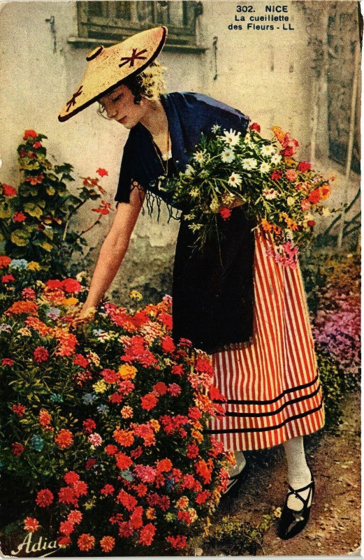 Carte postale ancienne Nice - La cueillette des Fleurs à Nice